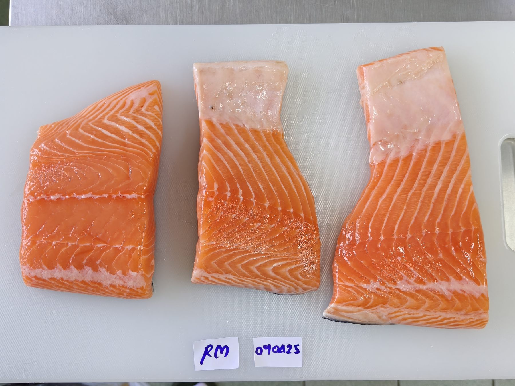 Salmon trial samples
