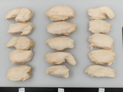 Chicken breast trial samples