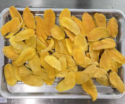 Dried mango trial batch