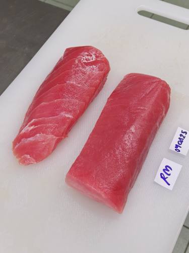Tuna trial samples