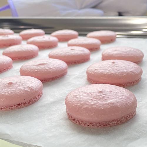 Macaron trial batch