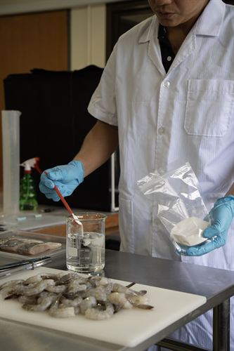 Formulation dosed into solution for a shrimp trial